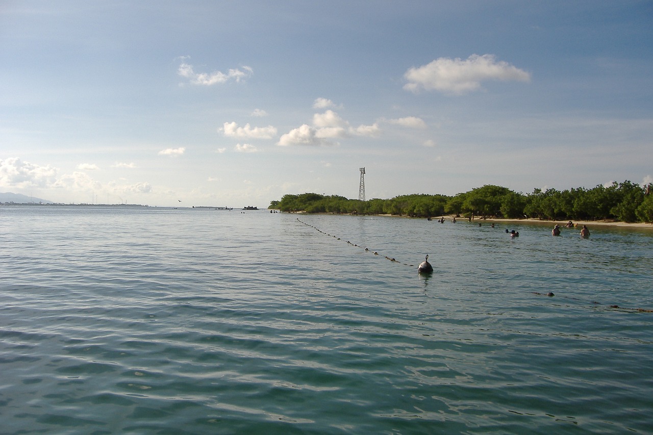 Image - costa sea nature venezuela