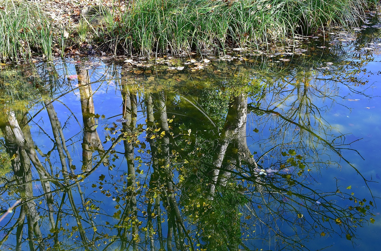 Image - water mirroring river reflections