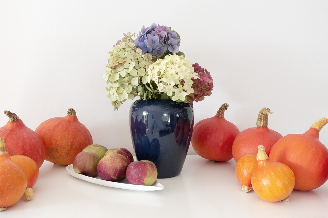 Image - pumpkin hokkaido vegetables orange