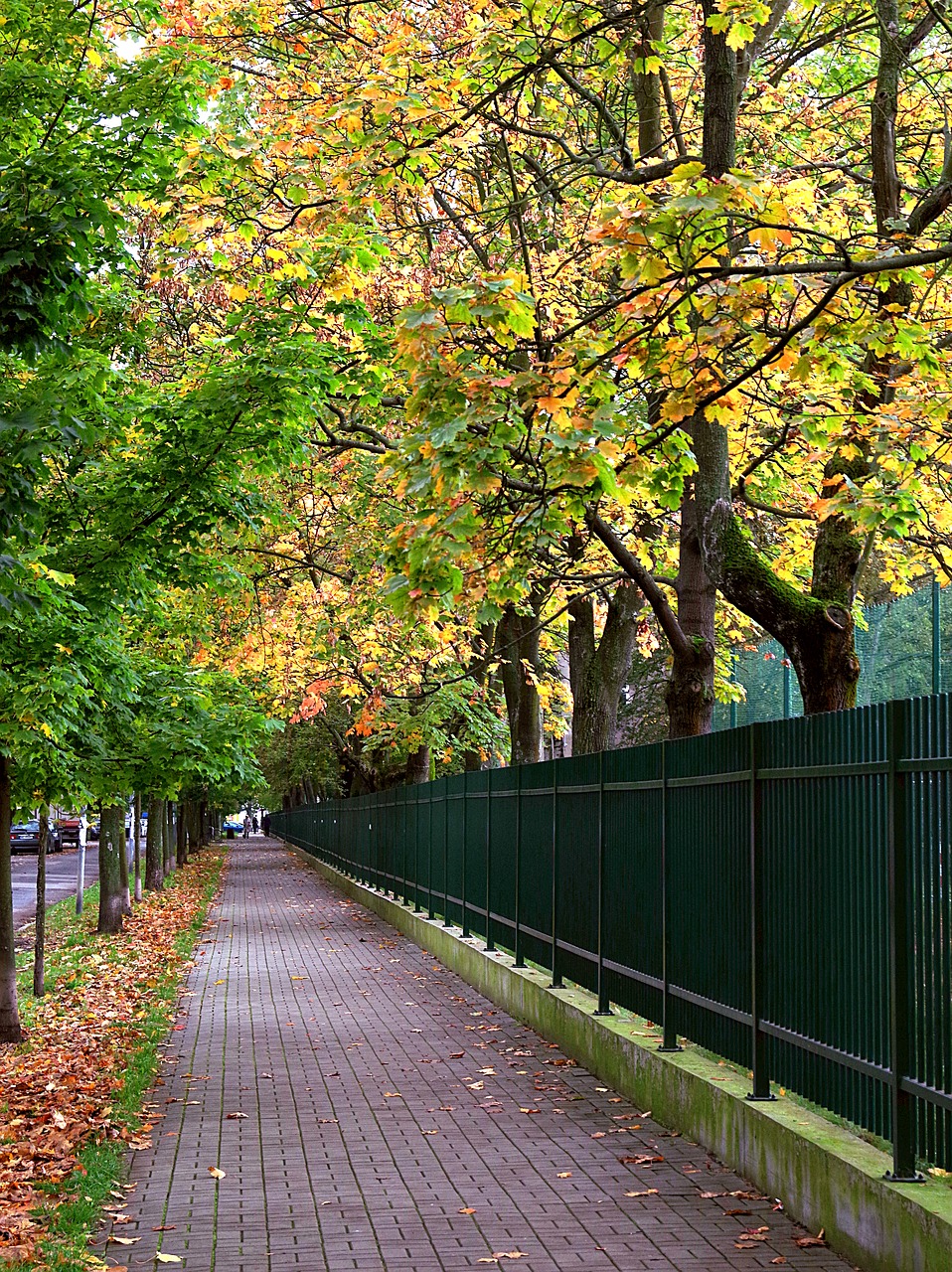 Image - alley park autumn street warsaw