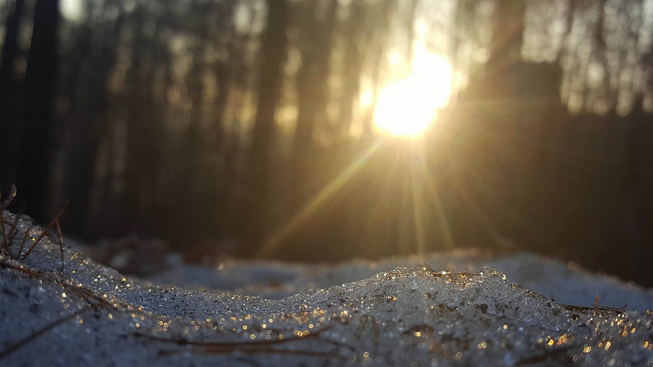 Image - winter earth the sun tree the rays