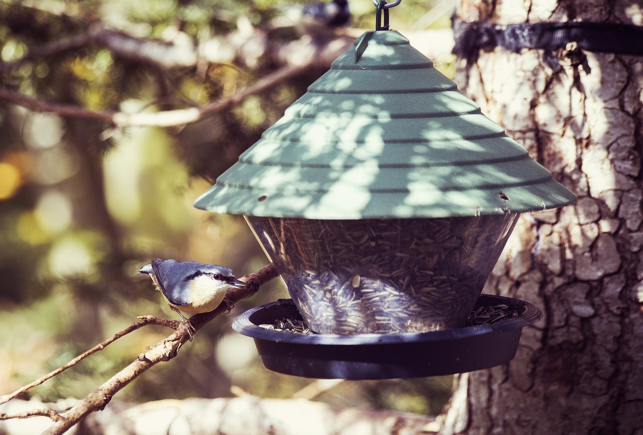 Image - bird aviary nesting box bird feeder