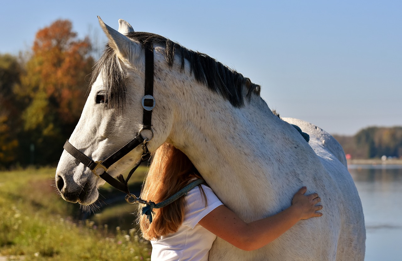 Image - horse pony girl love for animals