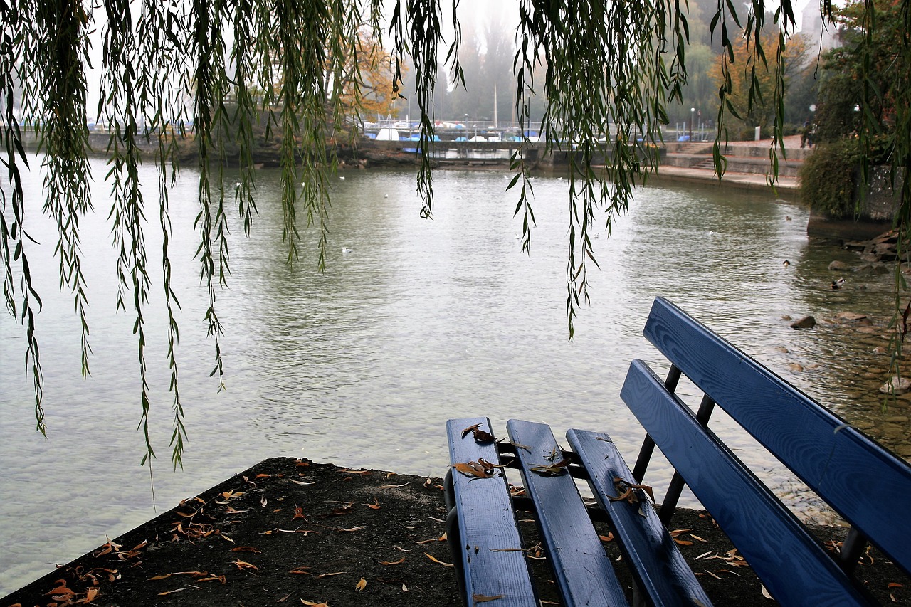 Image - willow bench autumn haze lake