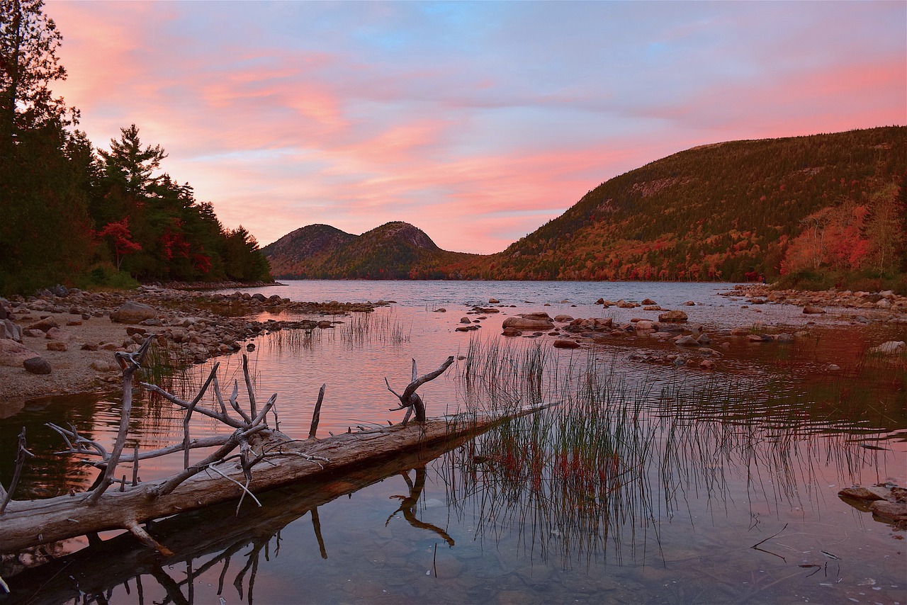 Image - sunset lake sky branch reflection