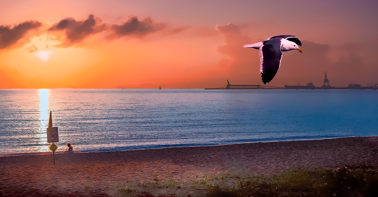 Image - sunrise beach main beach strand