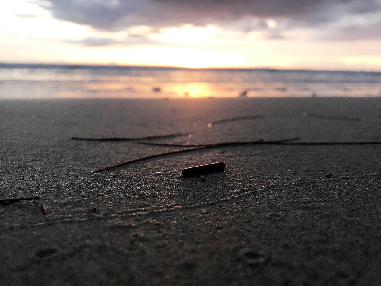 Image - phuket sea beach deadwood