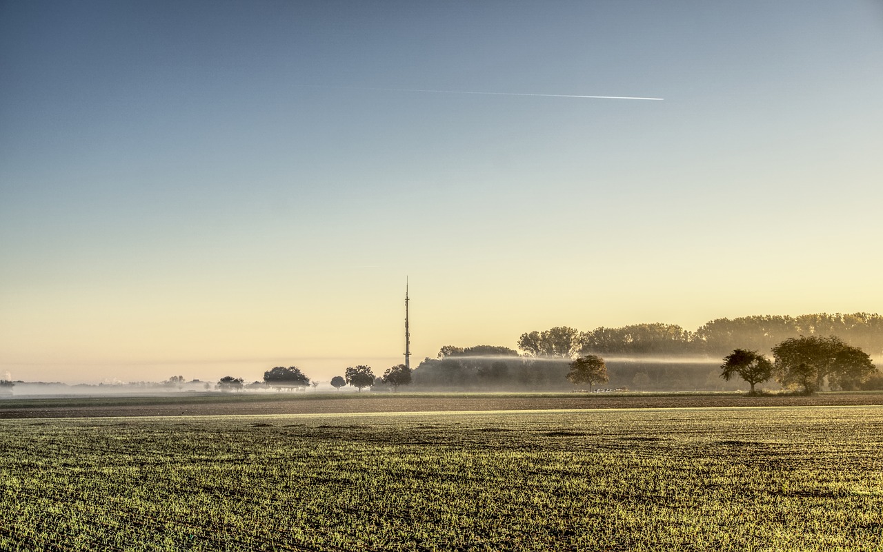 Image - sunrise fog sunlight sky blue