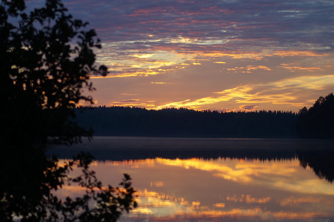 Image - sunset shrubs summer swedish