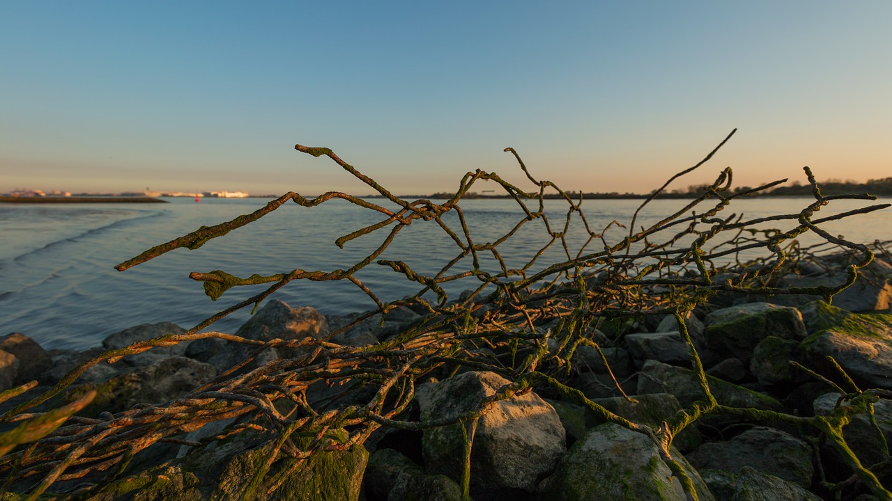 Image - hamburg blankenese elbe elbe beach