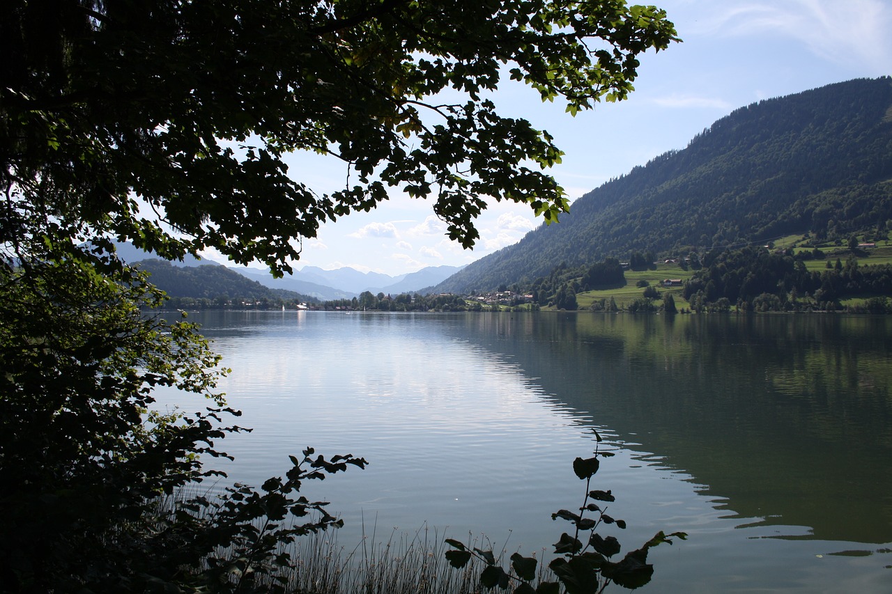 Image - alpsee lake nature allgäu