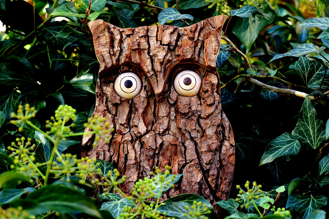 Image - owl tree bark nature eagle owl