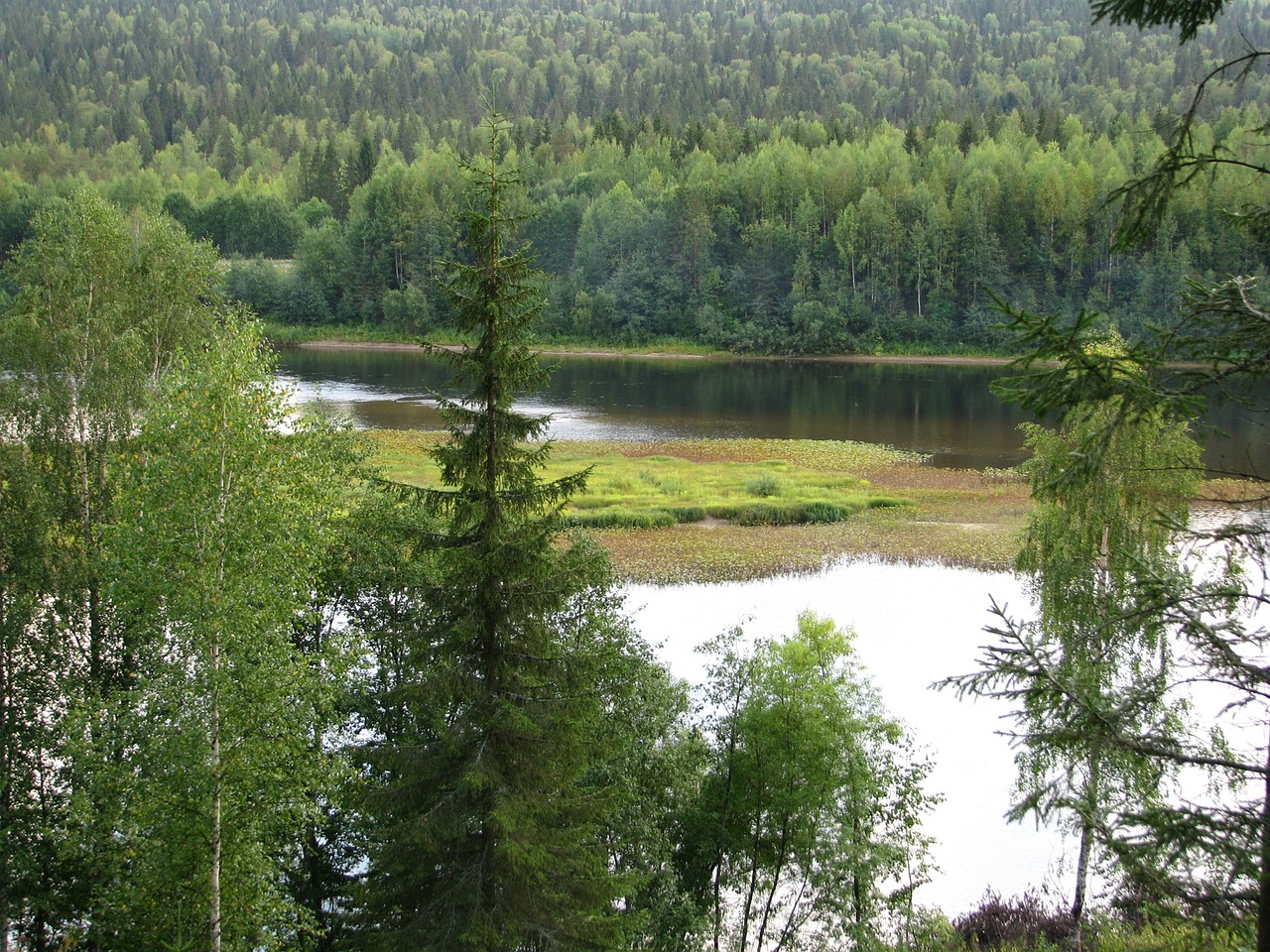 Image - river beach river bank nature sky