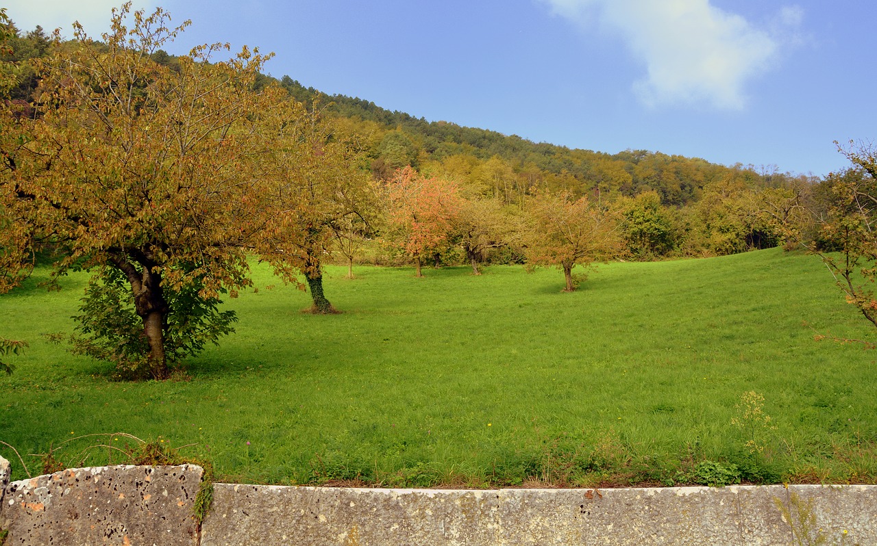 Image - prato trees green nature mountain