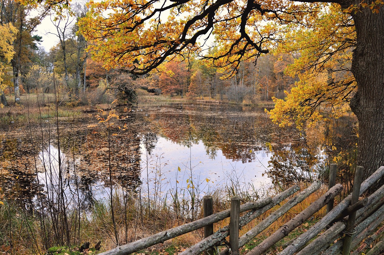 Image - fence outdoor autumn sweden nature