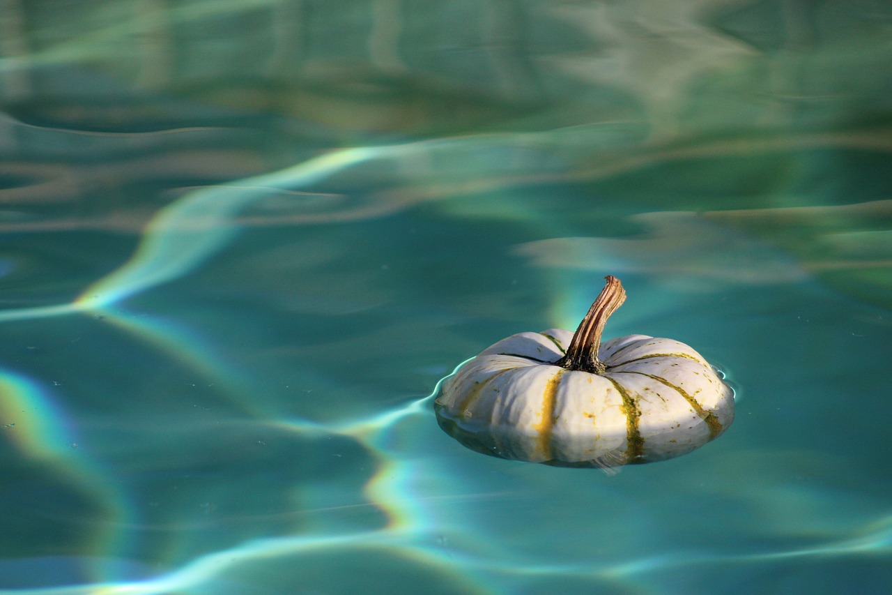 Image - water pumpkin wet blue white