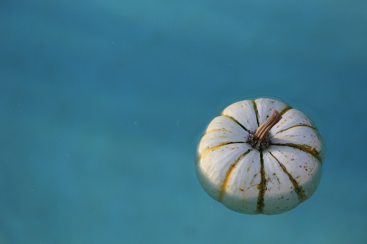 Image - water pumpkin wet blue white