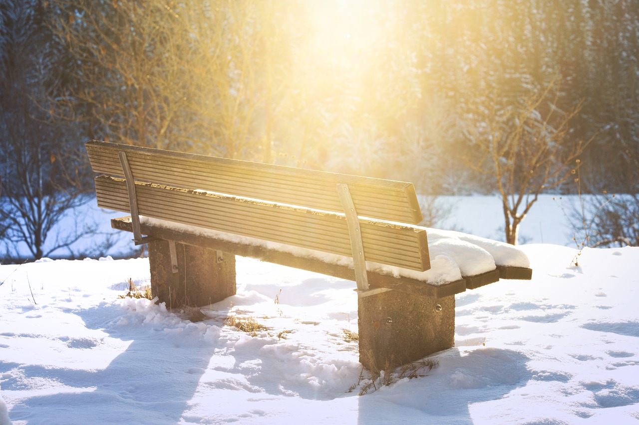 Image - bench lonely bank nature rest