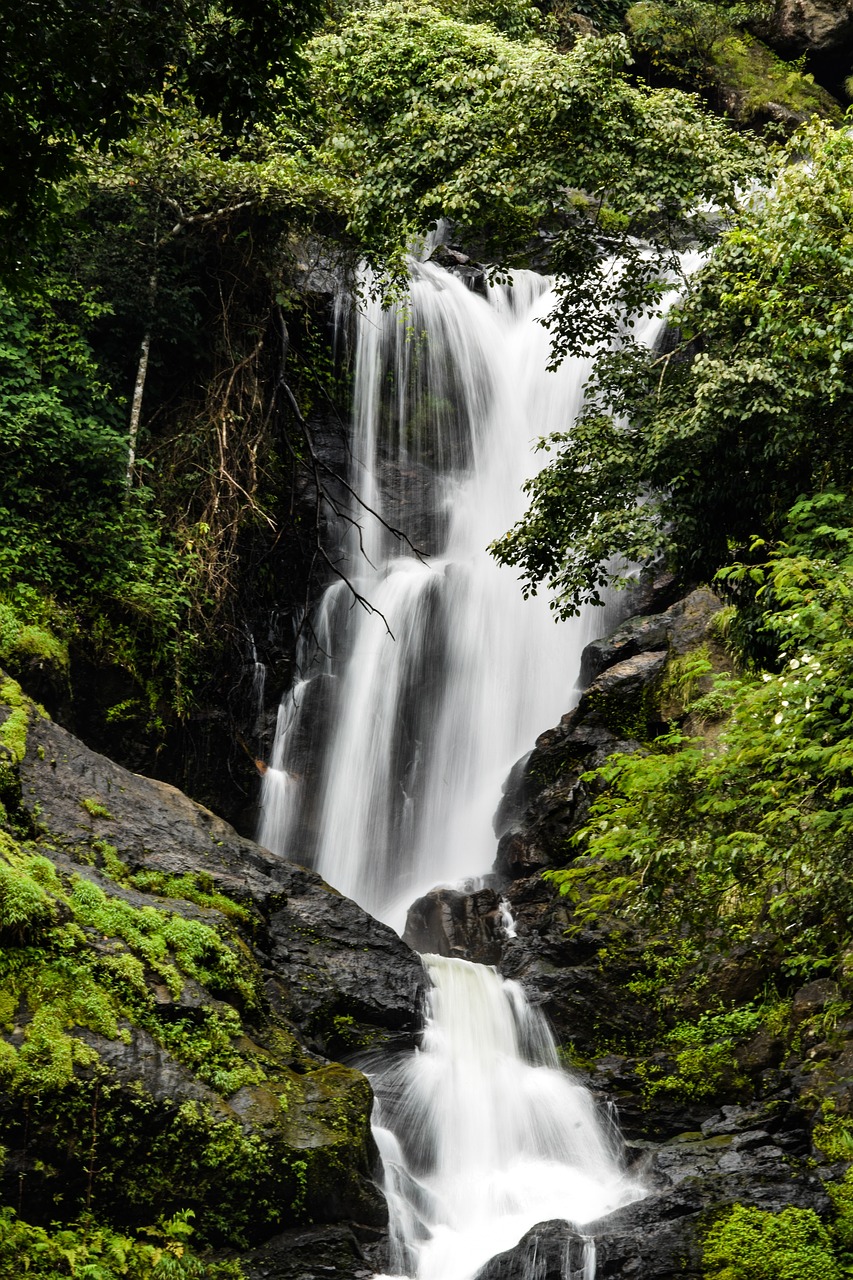 Image - waterfall nature scenic fall