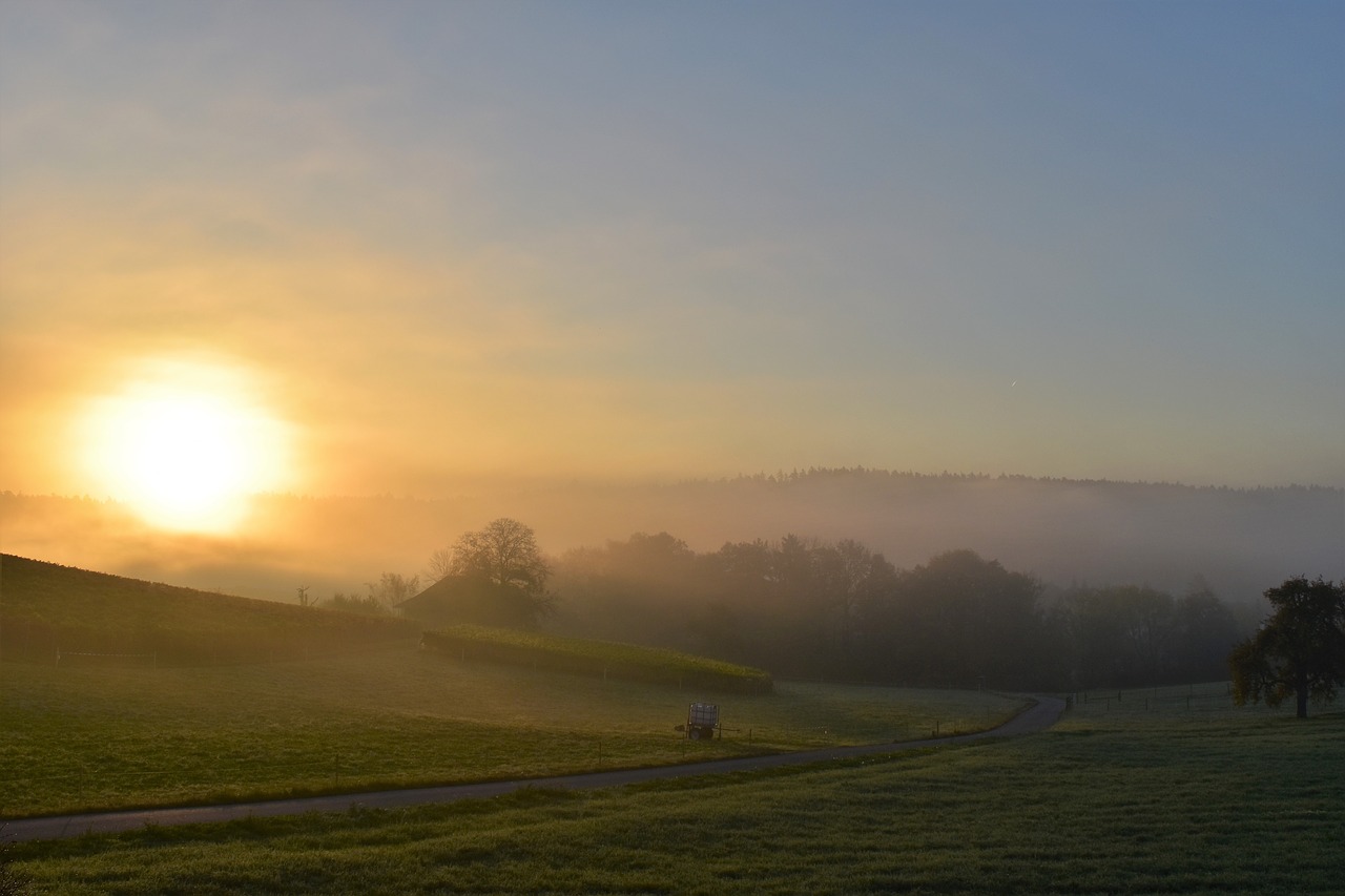 Image - landscape fog morgenstimmung