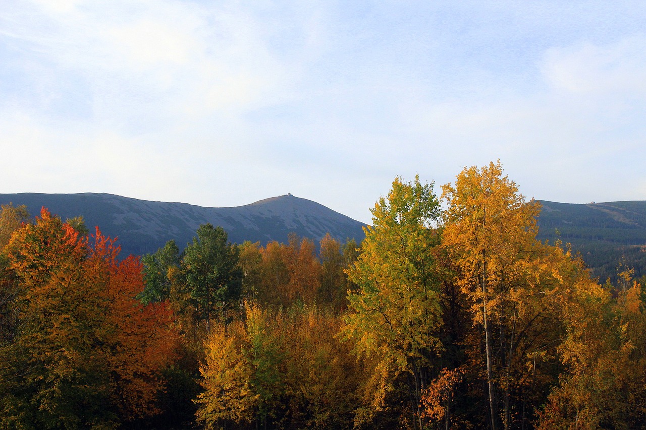 Image - autumn landscape mountains