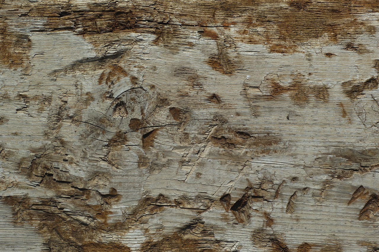 Image - wood fibre boards texture copy space