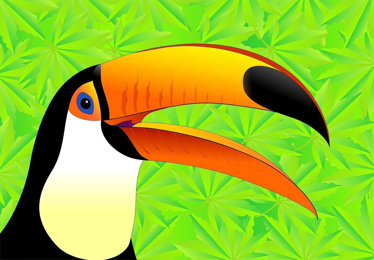 Image - toucan bird bird of paradise jungle