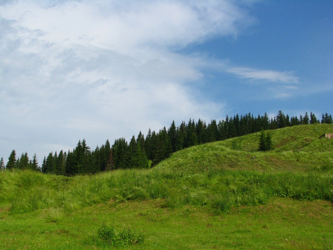 Image - forest mountain slope blue sky