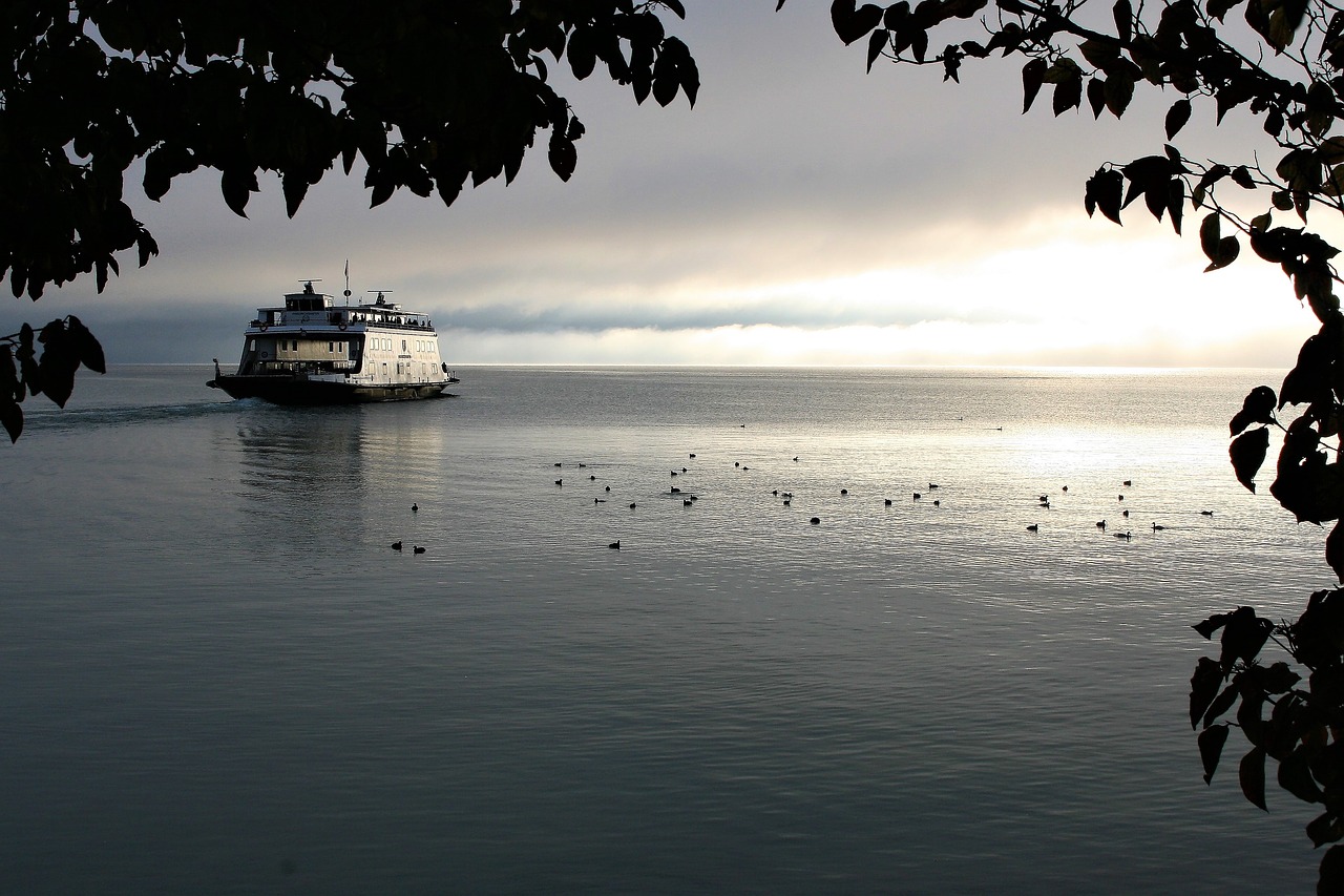 Image - ferry cruise swimming shipping