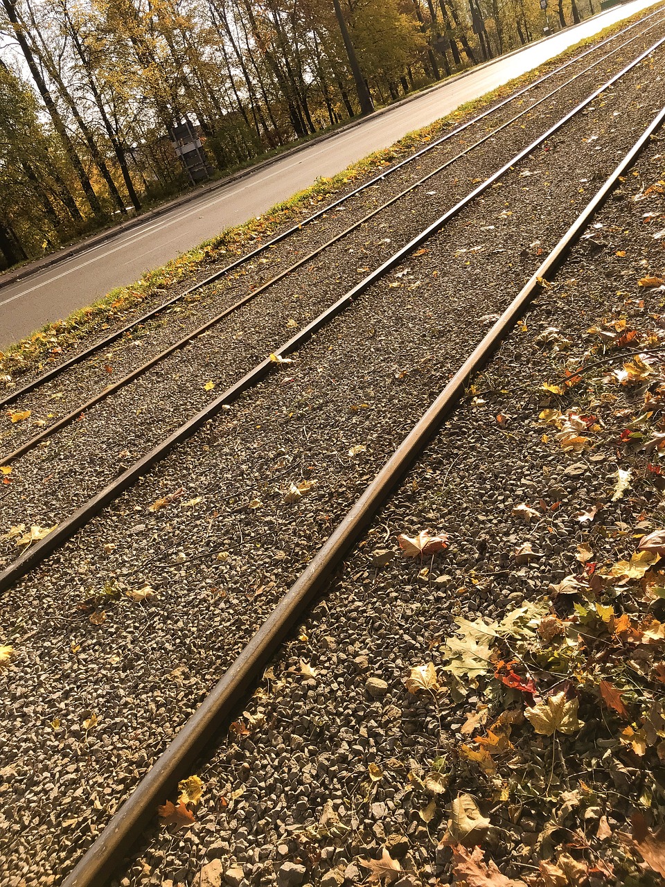 Image - czestochowa poland autumn stroll