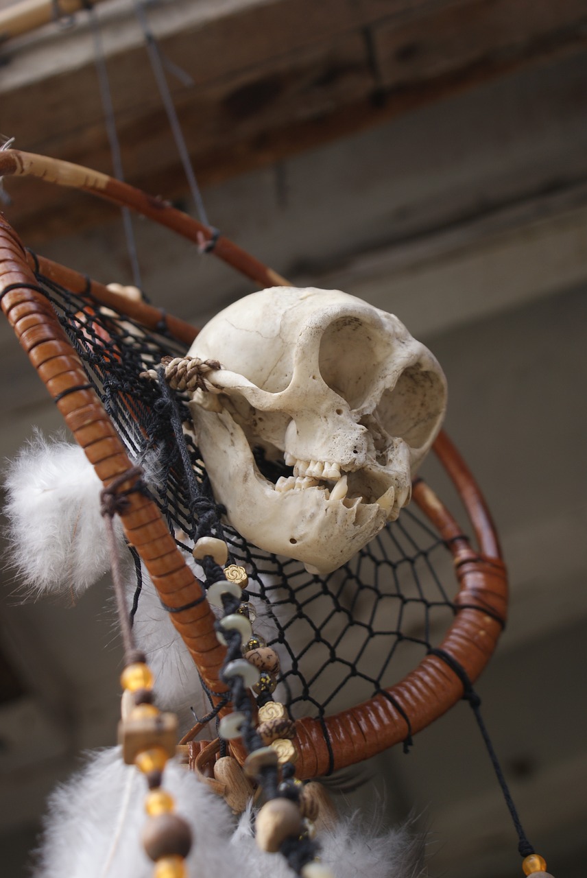 Image - halloween skull halloween skull