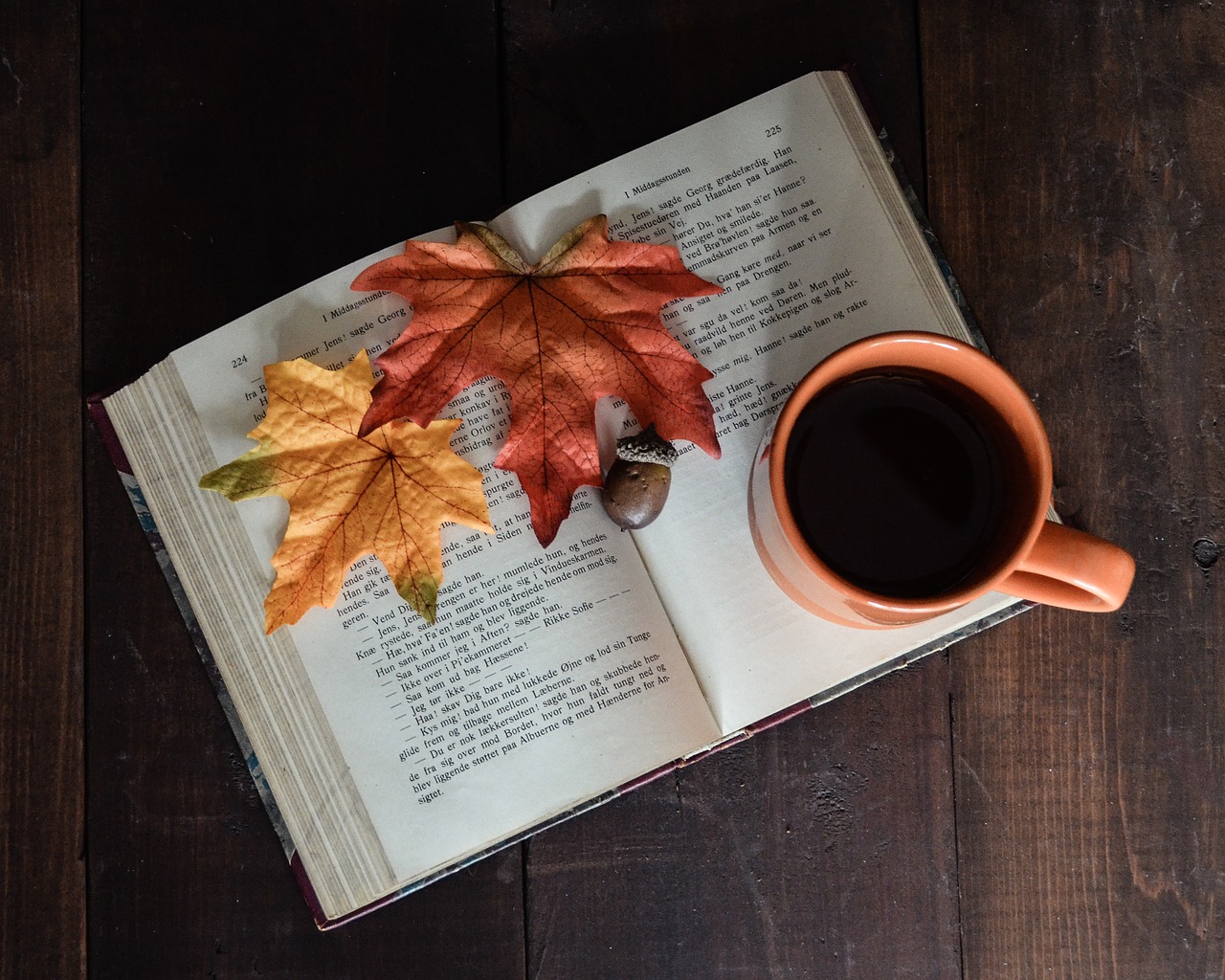 Image - open book book mug from above