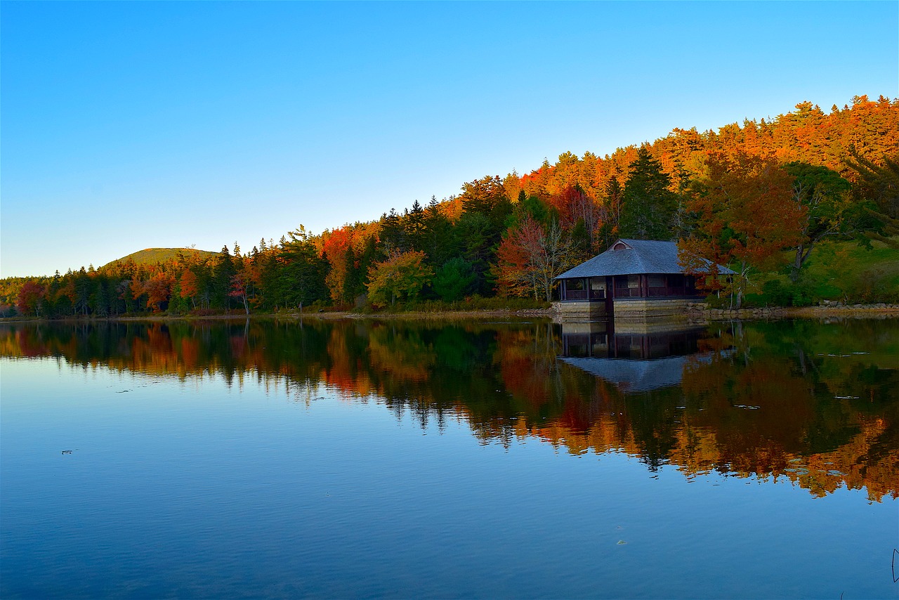 Image - lake trees foliage house