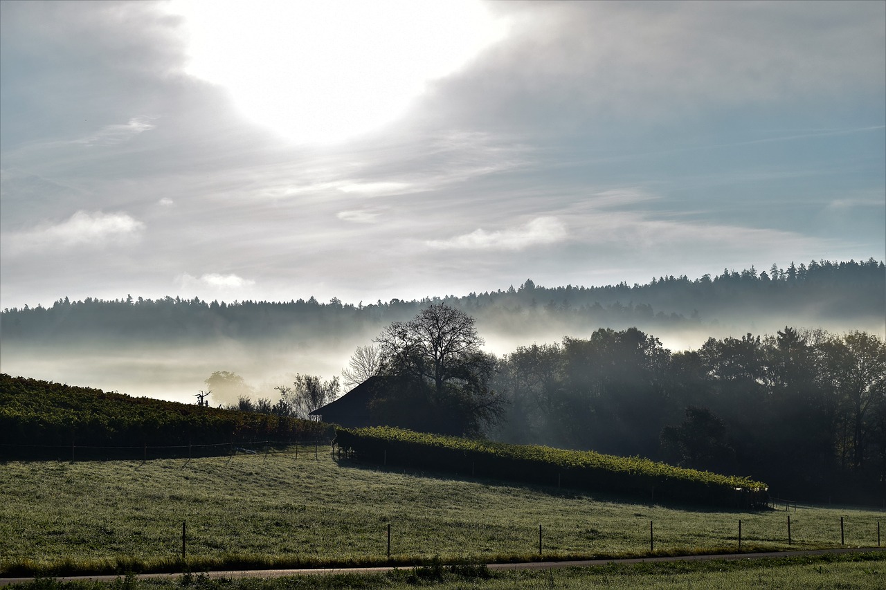 Image - landscape back light sunrise sky