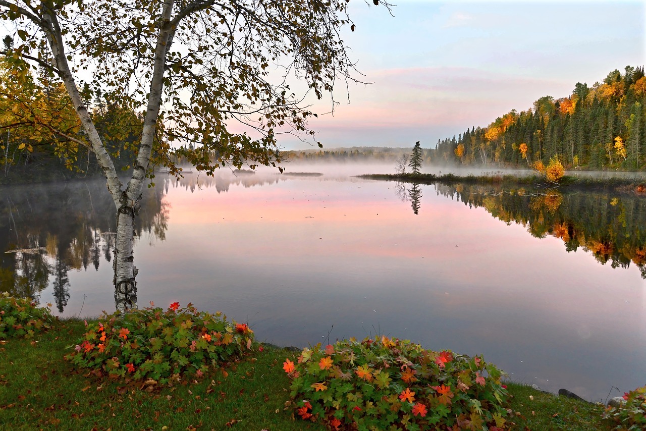 Image - fall autumn landscape autumn leaves