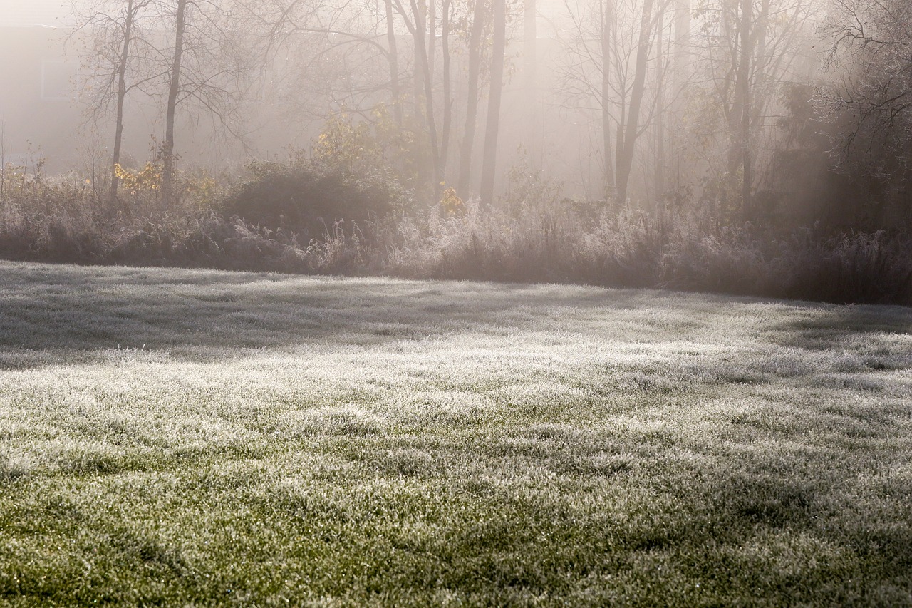 Image - landscape autumn fall frozen