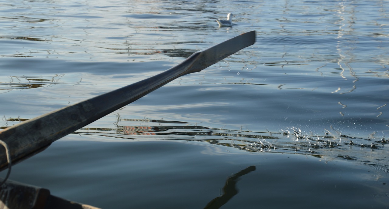 Image - ocean fjord rowing scandinavia