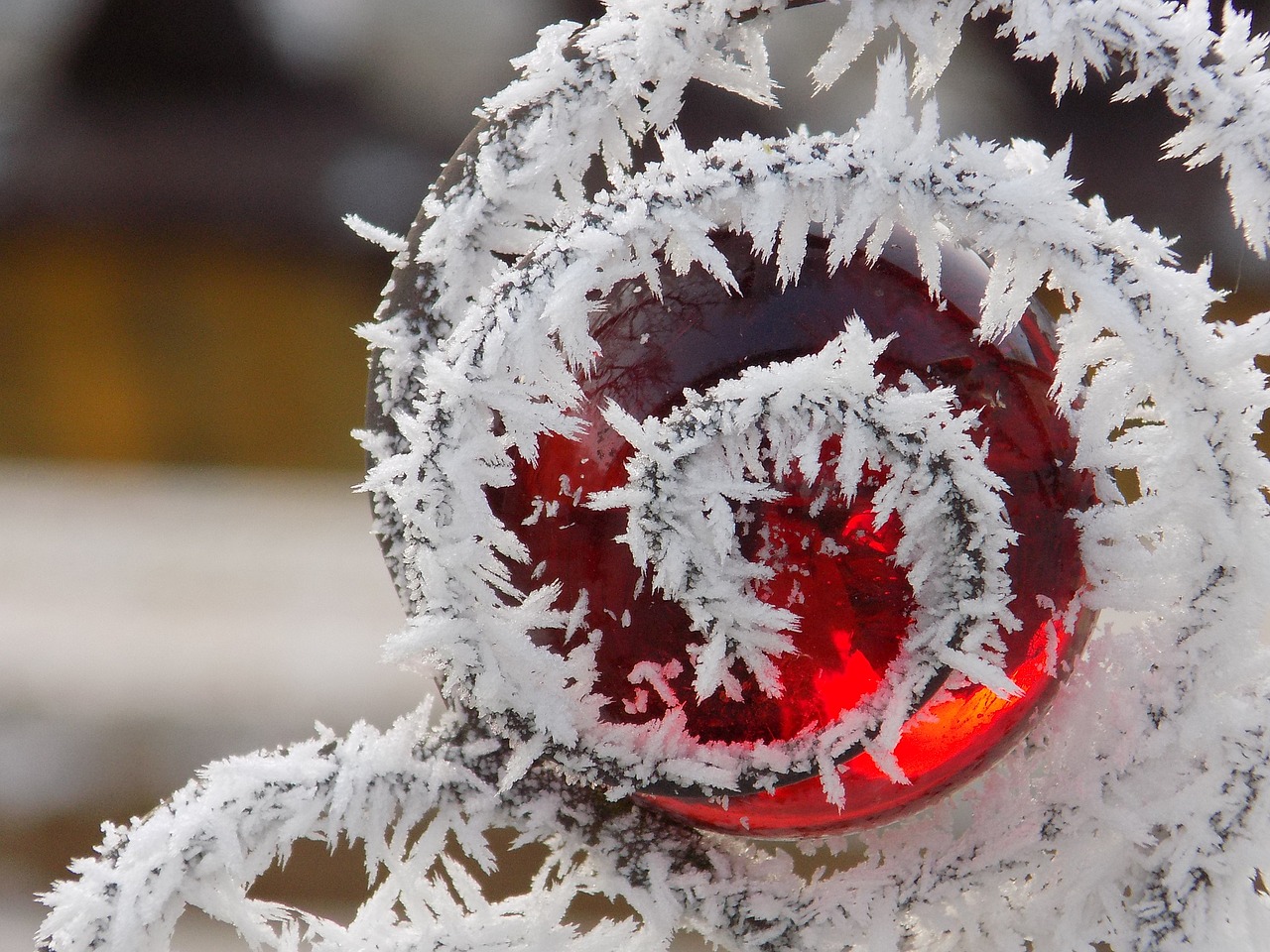 Image - rime glass globe frost