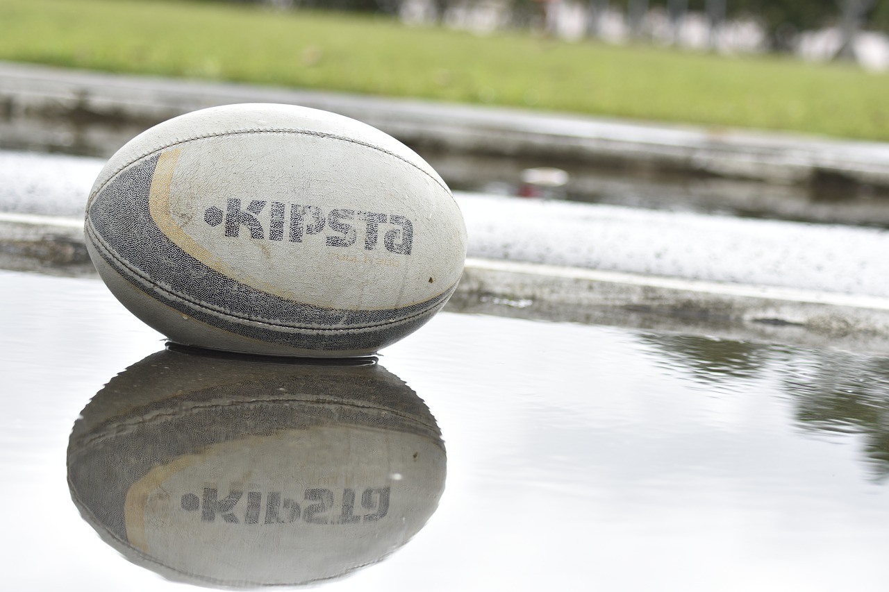 Image - rugby ball water field grass