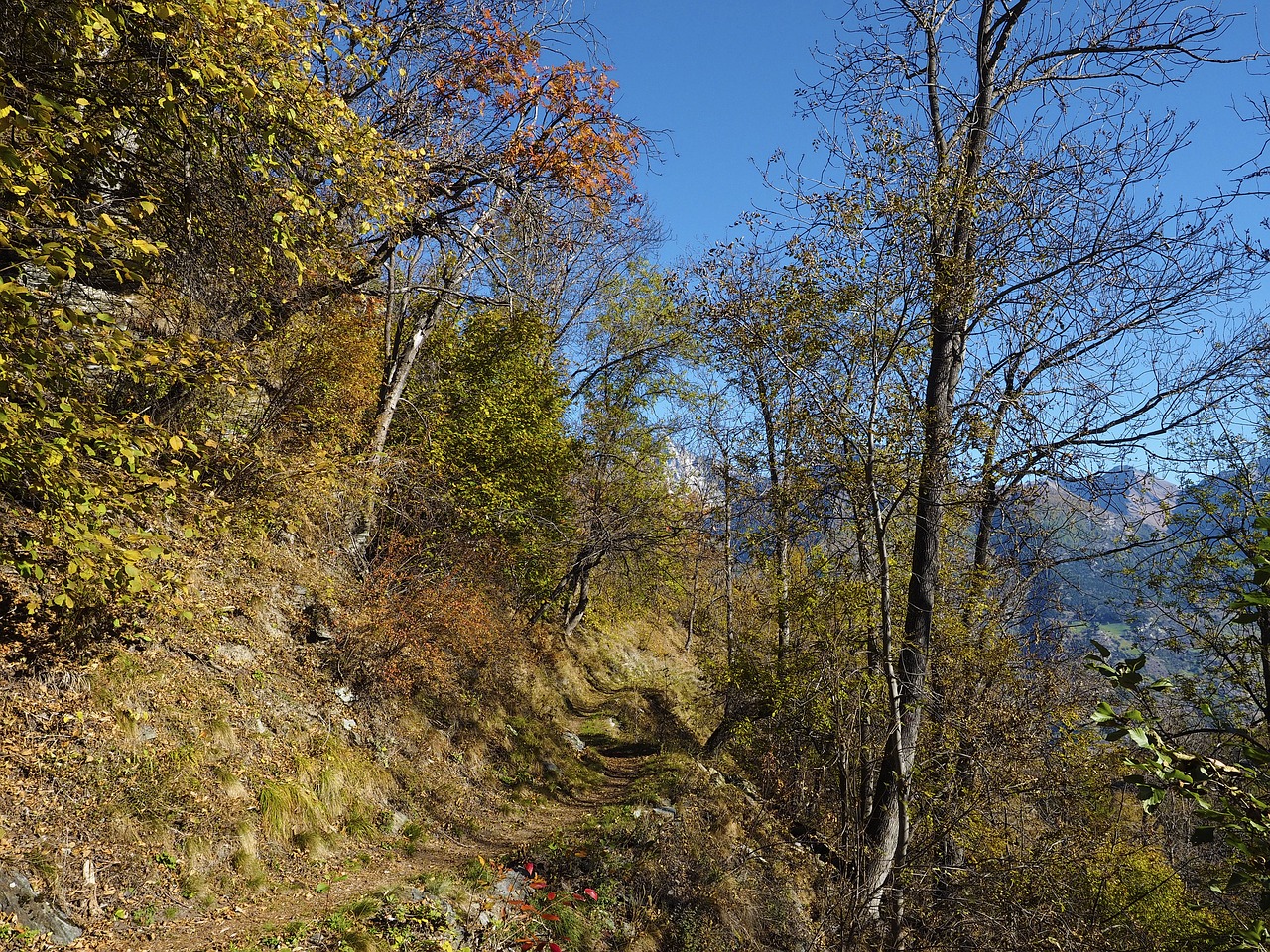 Image - trail mountain hiking path alps