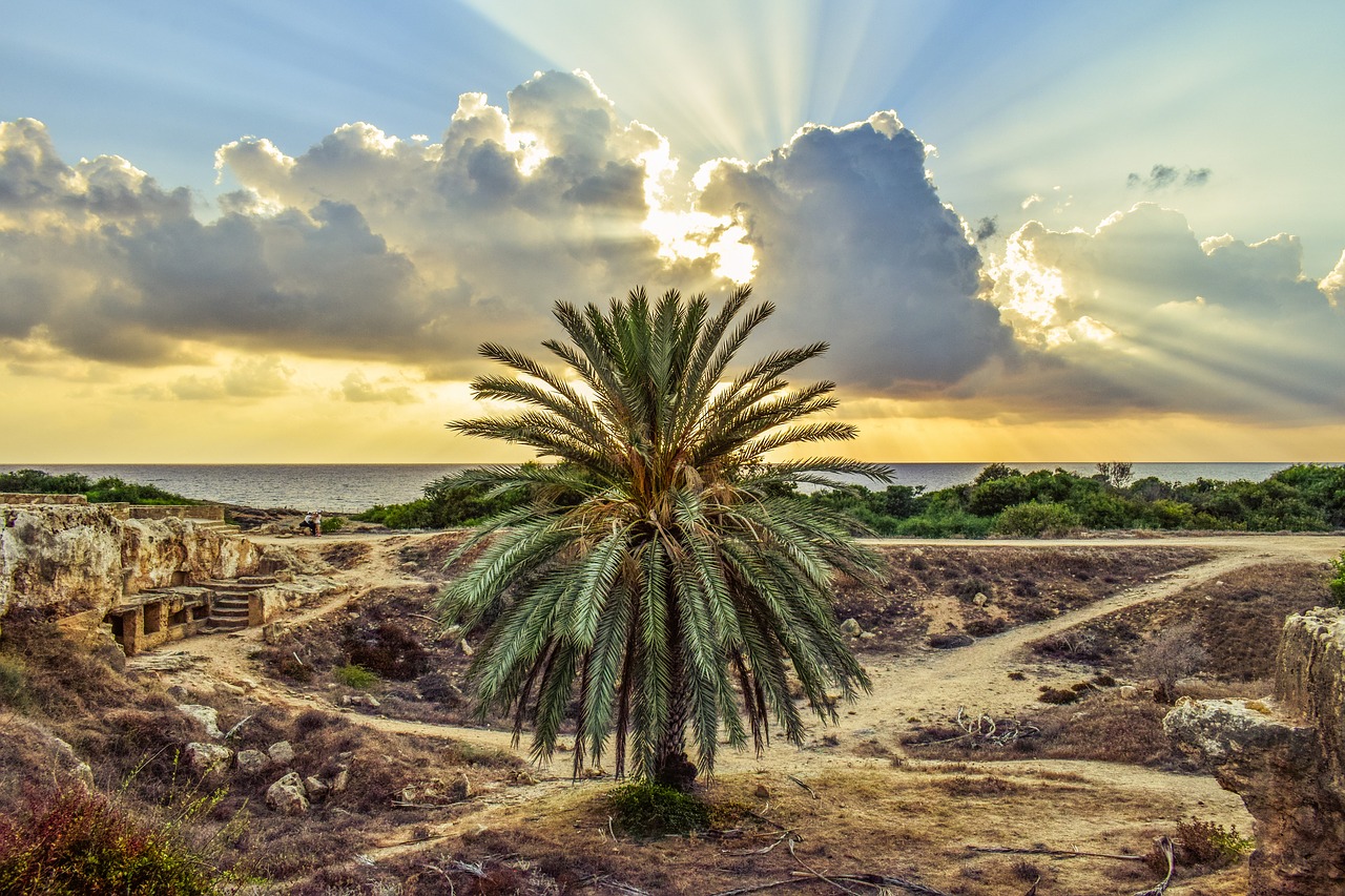 Image - cyprus paphos tombs of the kings