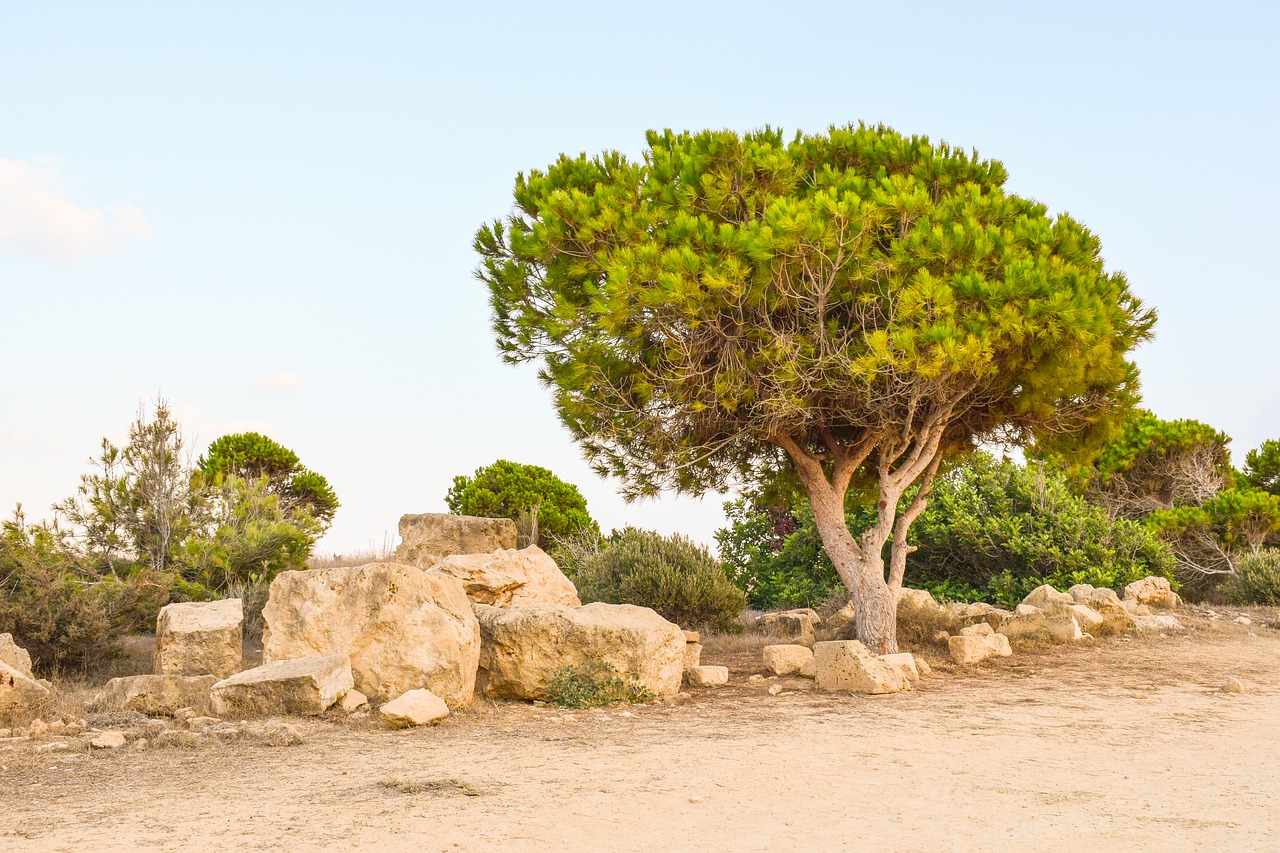 Image - cyprus paphos tombs of the kings