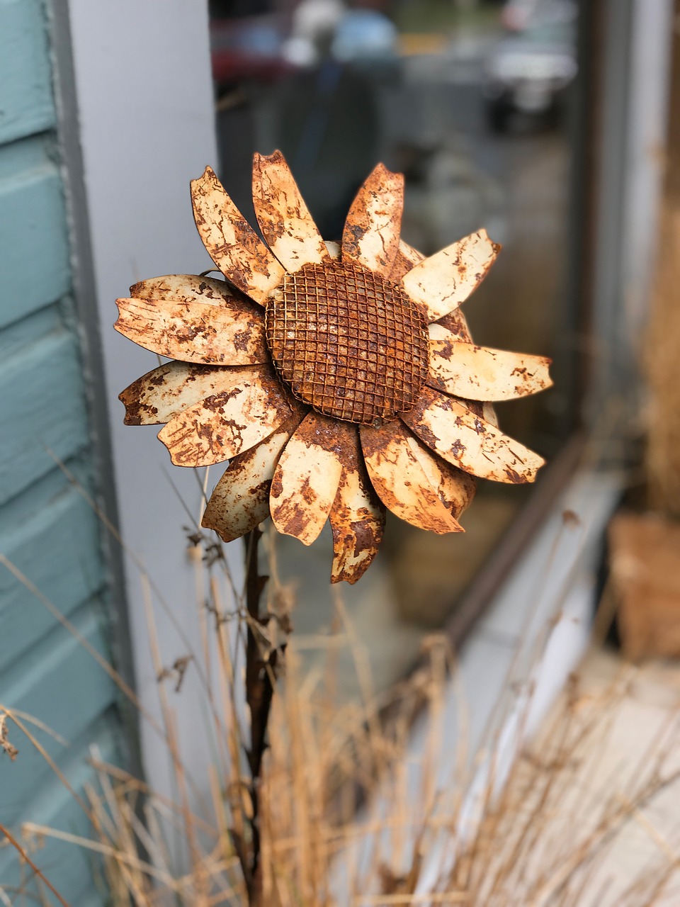 Image - sunflower metal rustic rusty