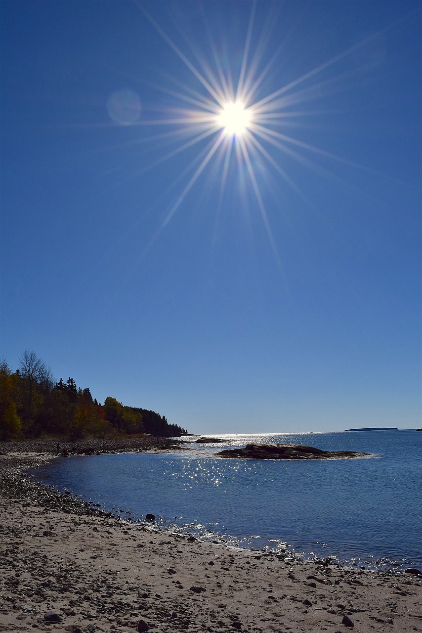 Image - shore sun beach ocean pine trees