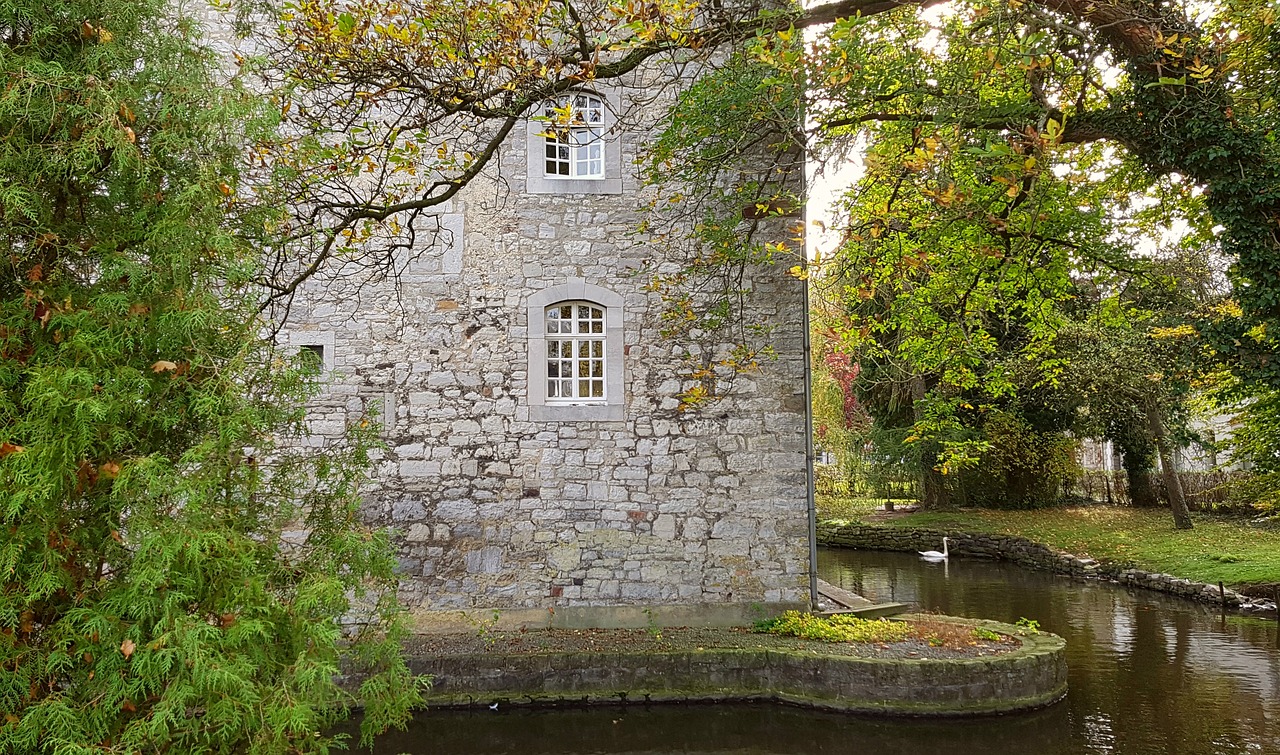 Image - castle wasserburg swan animal