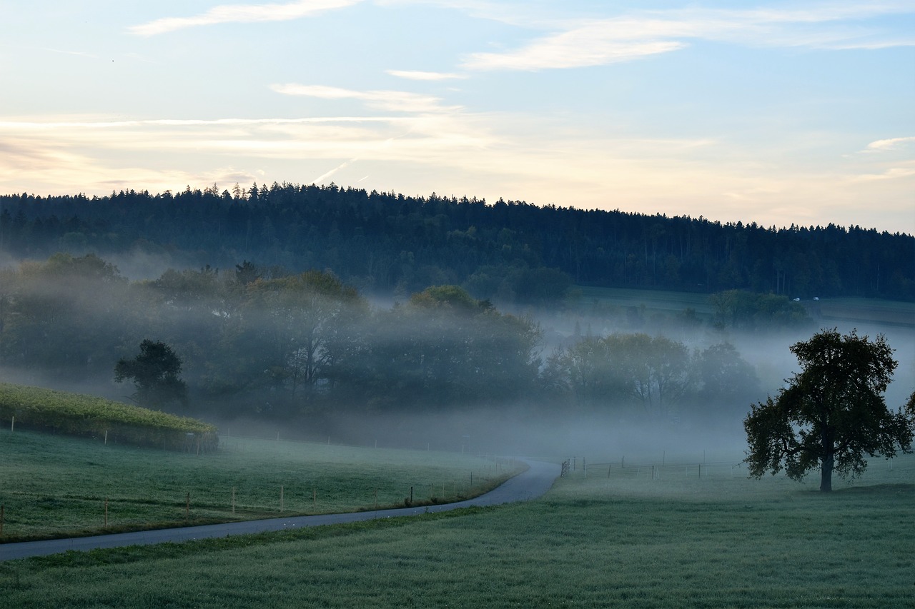 Image - landscape fog morning sunrise