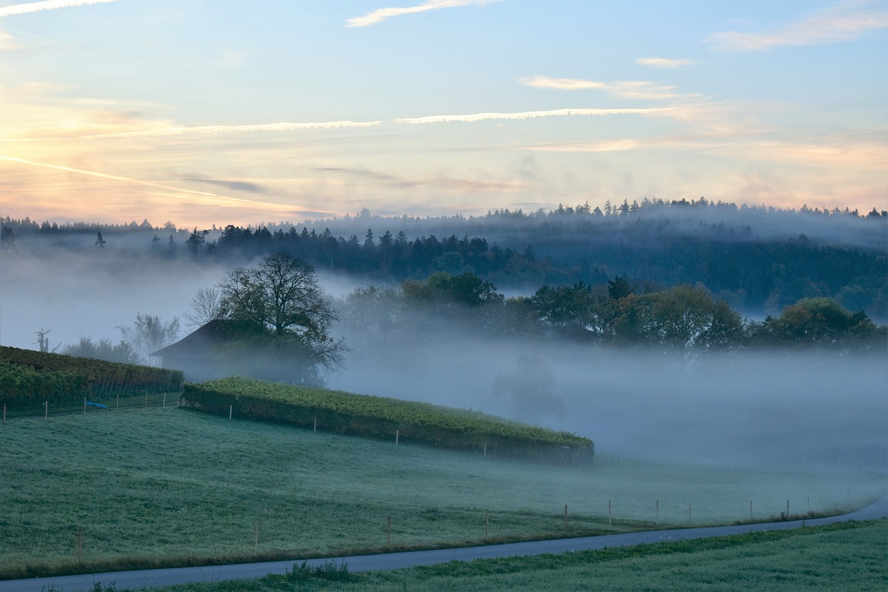 Image - landscape fog morning sunrise