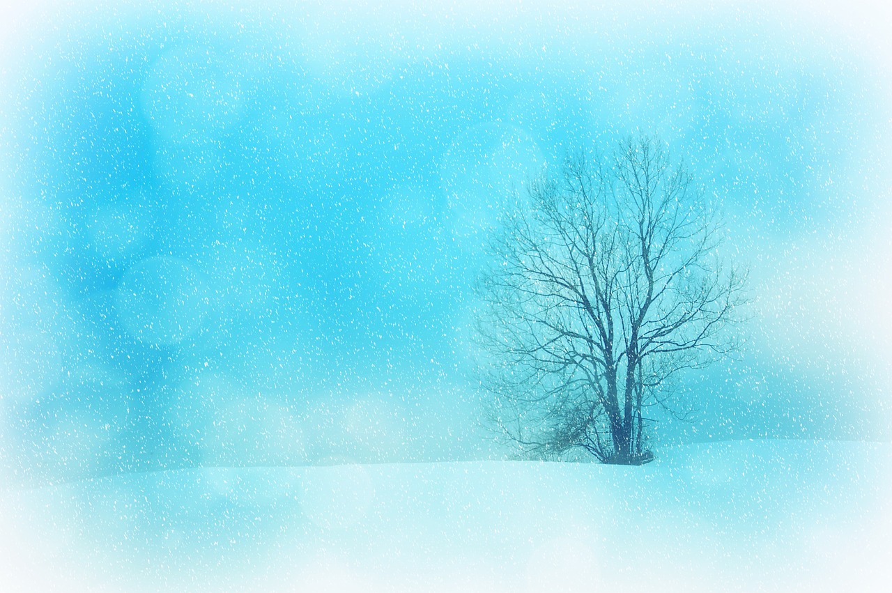 Image - texture background winter wintry