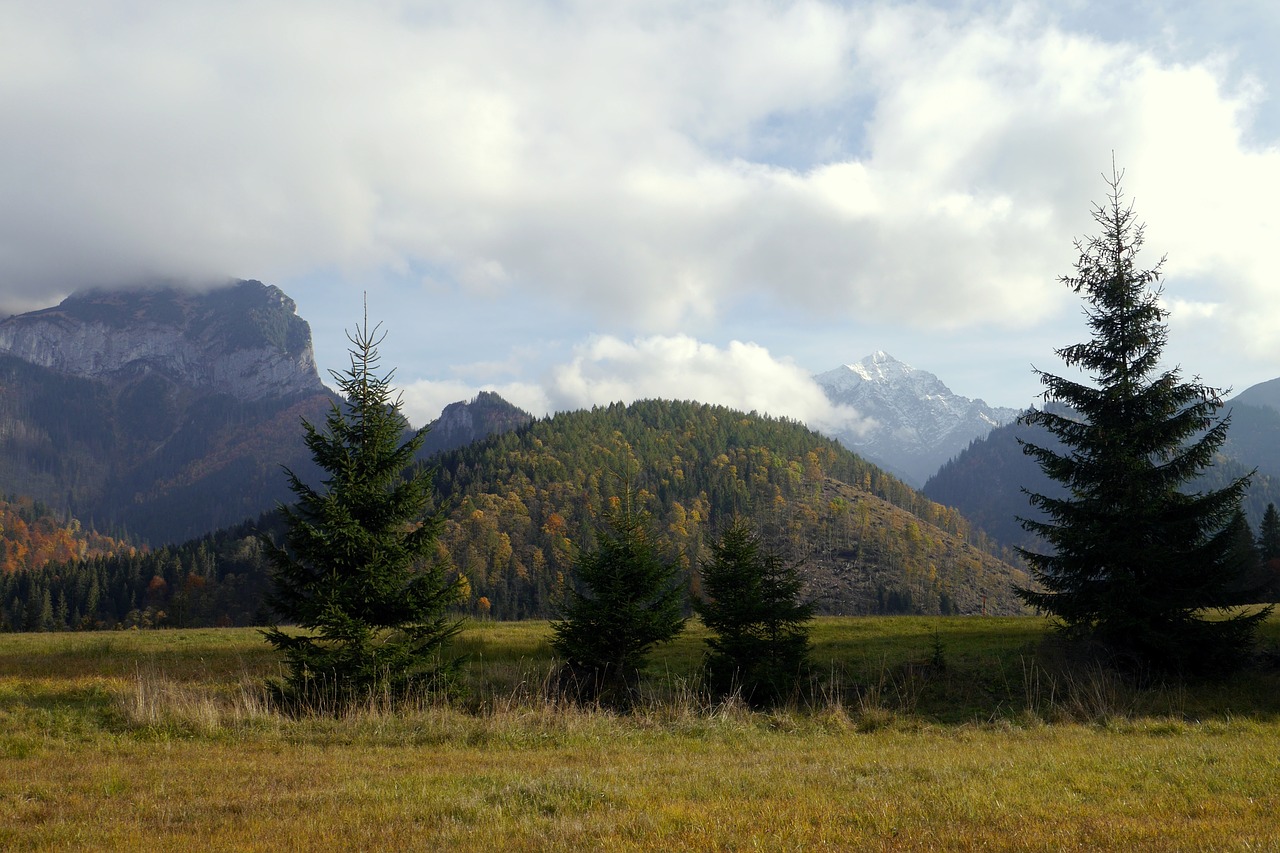 Image - autumn colors clouds trees the sky