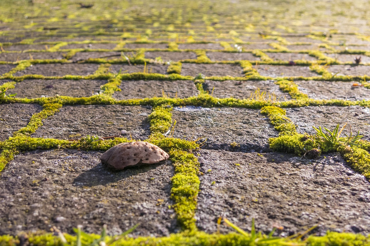 Image - away moss green ground